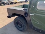 General Appearance with Paint