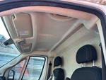 Interior with Head Liner