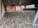 Engine with Exhaust System