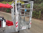 General Appearance with Steps/Ladders