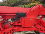 General Appearance with Paint