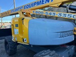 General Appearance with Paint