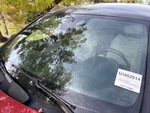 General Appearance with Glass