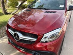 General Appearance with Paint