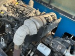 Engine with Exhaust System