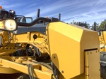 General Appearance with Paint