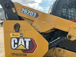 General Appearance with Paint