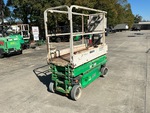General Appearance with Pintura