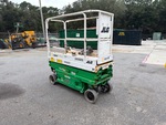 General Appearance with Paint