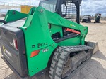 General Appearance with Paint