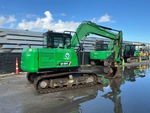 General Appearance with Paint