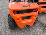 General Appearance with Paint