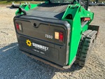 General Appearance with Paint